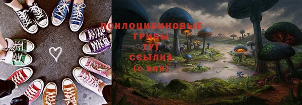 первитин Осинники