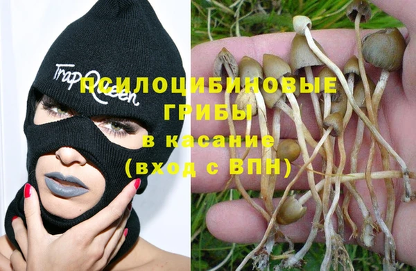 первитин Осинники