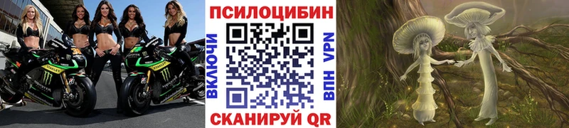 Купить где Ялуторовск Псилоцибиновые грибы мухоморы